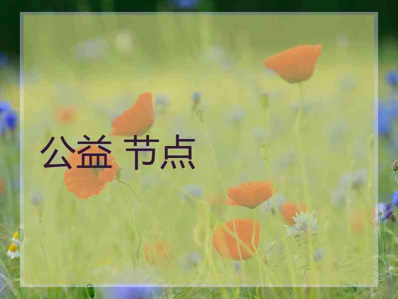公益 节点