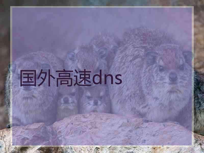 国外高速dns