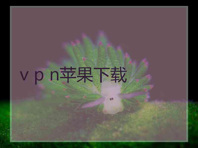 v p n苹果下载
