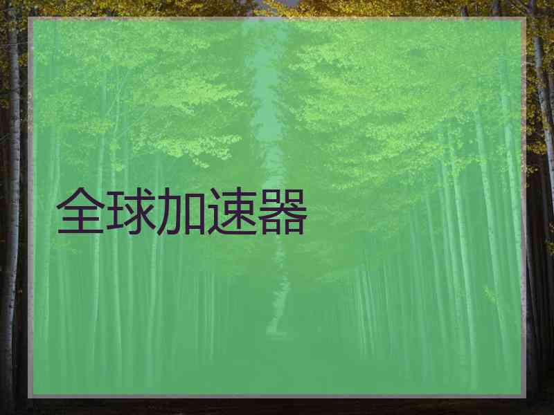 全球加速器