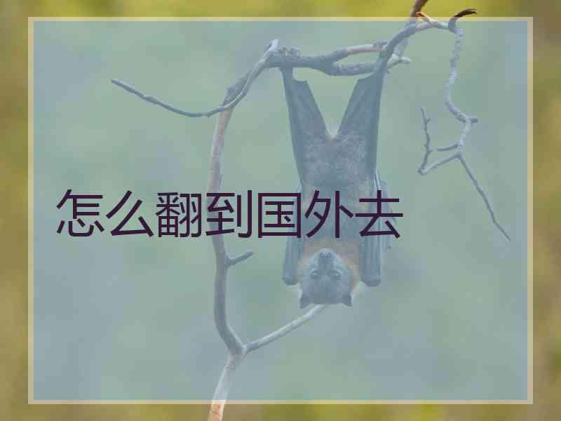 怎么翻到国外去