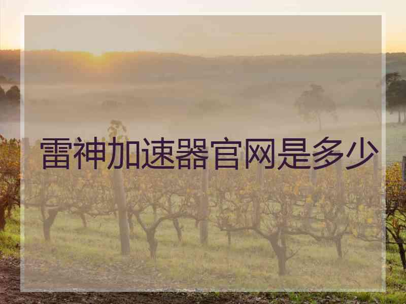 雷神加速器官网是多少