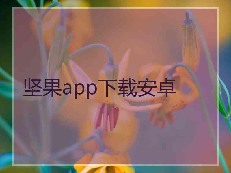 坚果app下载安卓