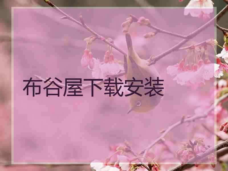 布谷屋下载安装