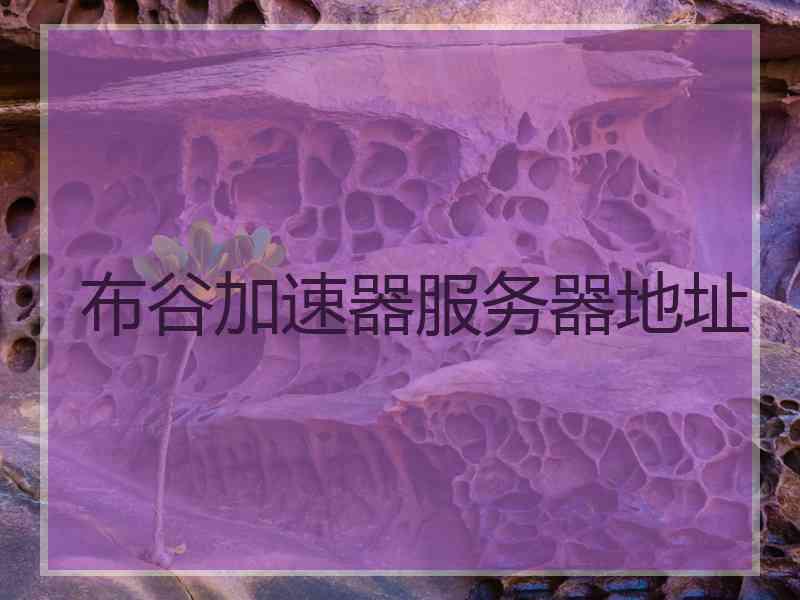 布谷加速器服务器地址