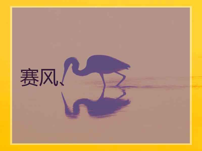 赛风、