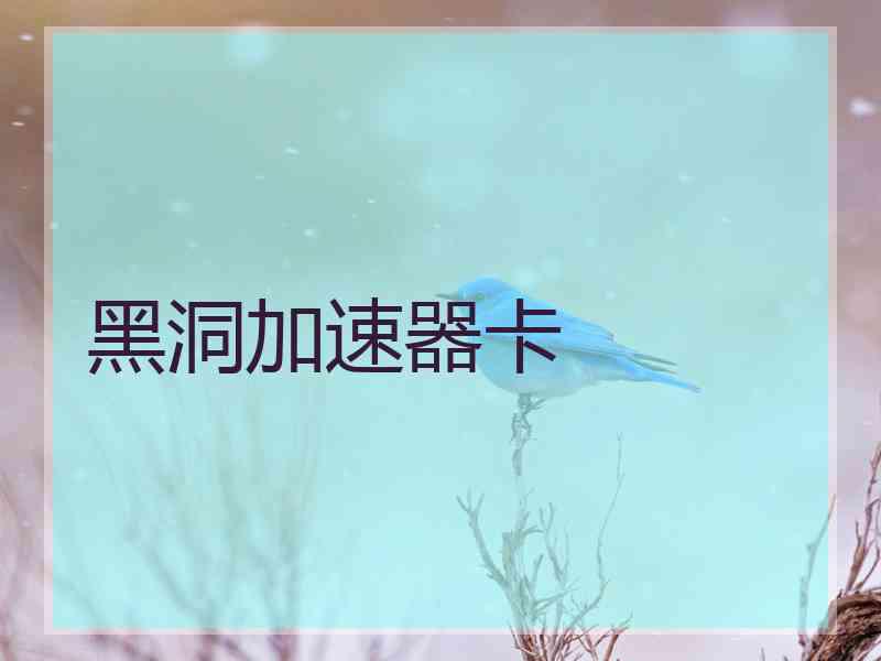 黑洞加速器卡