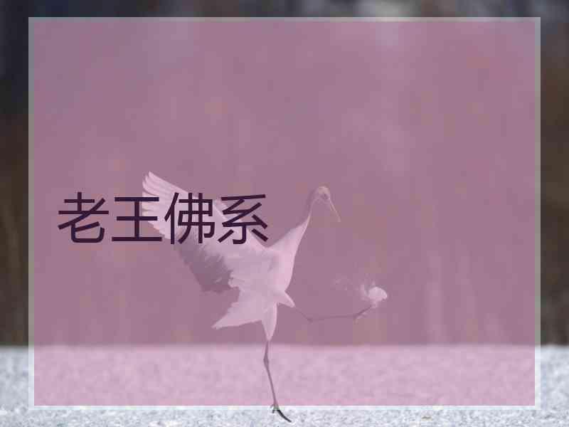老王佛系