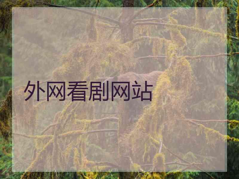 外网看剧网站