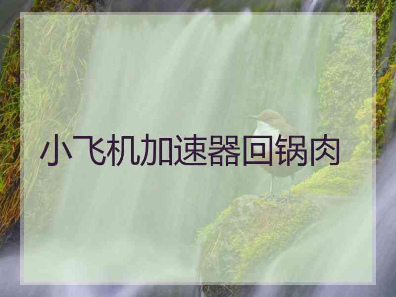 小飞机加速器回锅肉
