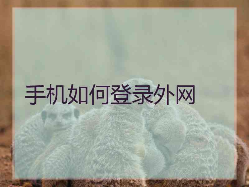 手机如何登录外网
