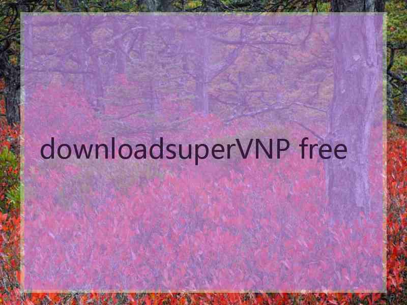 downloadsuperVNP free