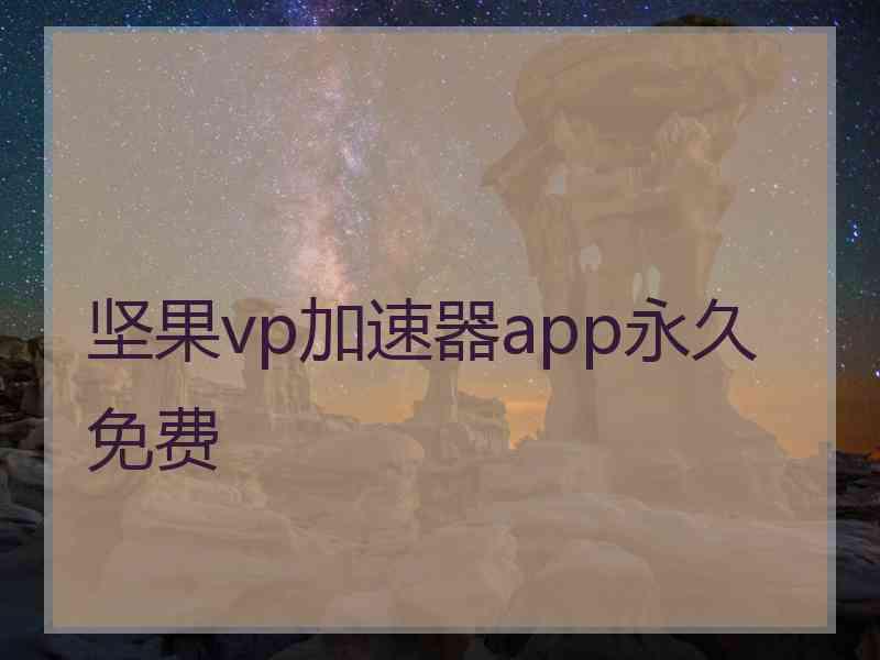 坚果vp加速器app永久免费