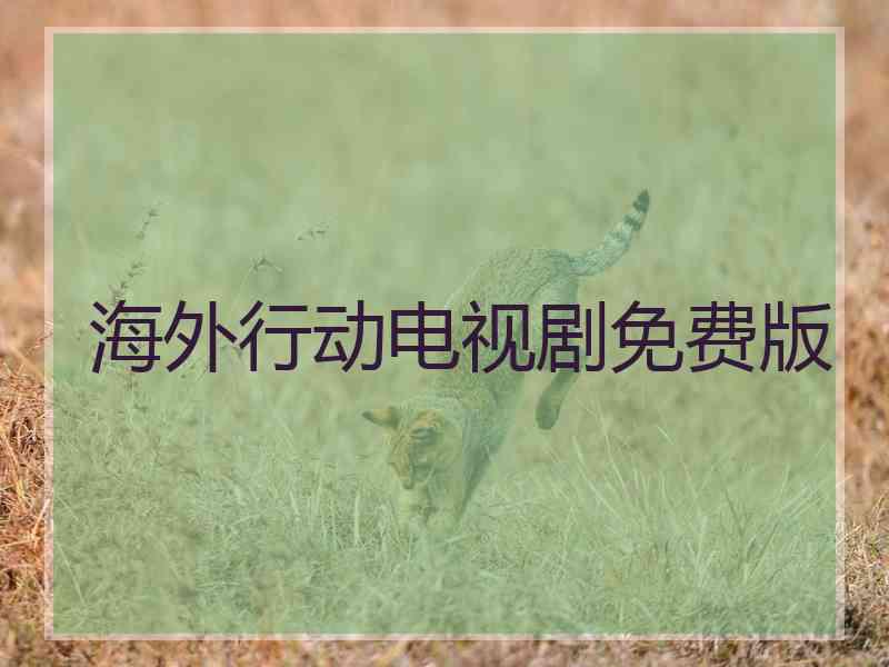海外行动电视剧免费版