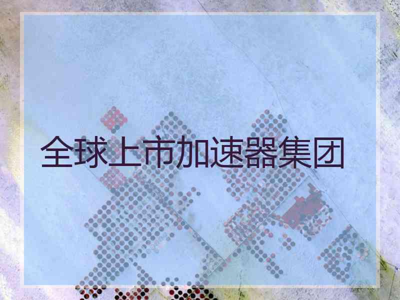 全球上市加速器集团