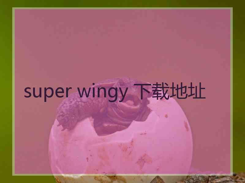 super wingy 下载地址