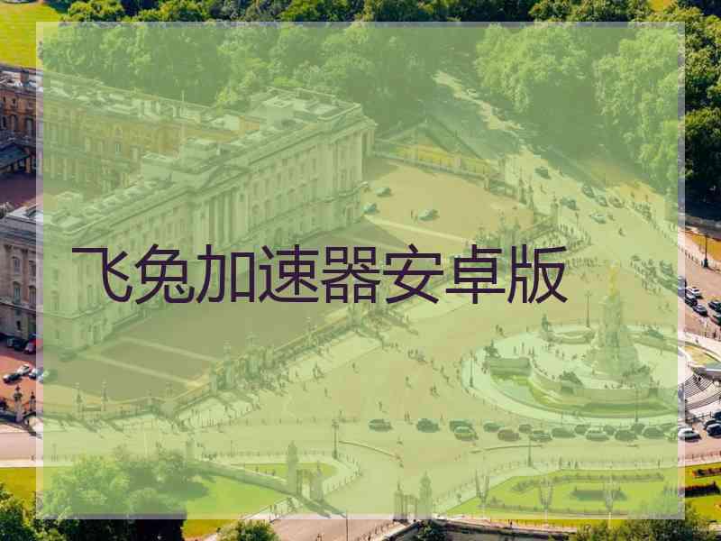 飞兔加速器安卓版