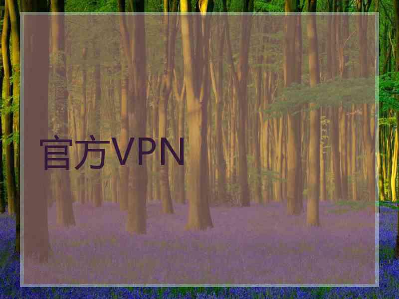 官方VPN