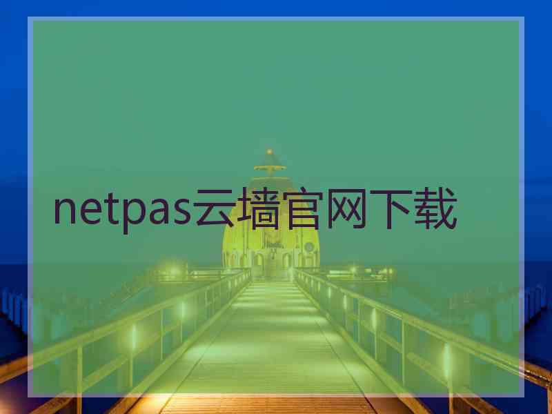 netpas云墙官网下载