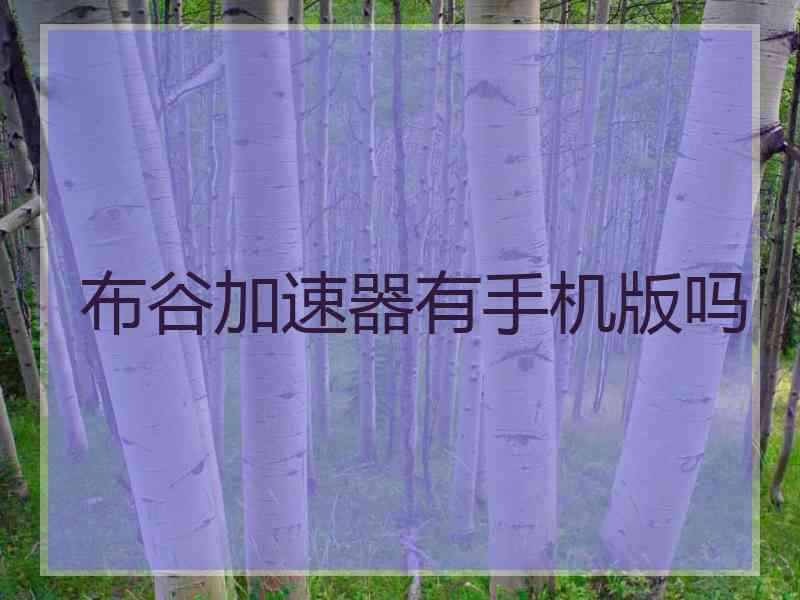 布谷加速器有手机版吗