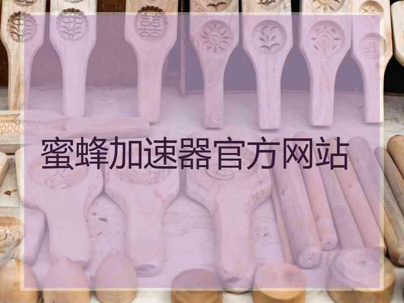 蜜蜂加速器官方网站