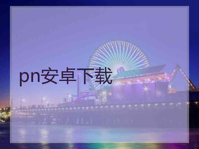 pn安卓下载