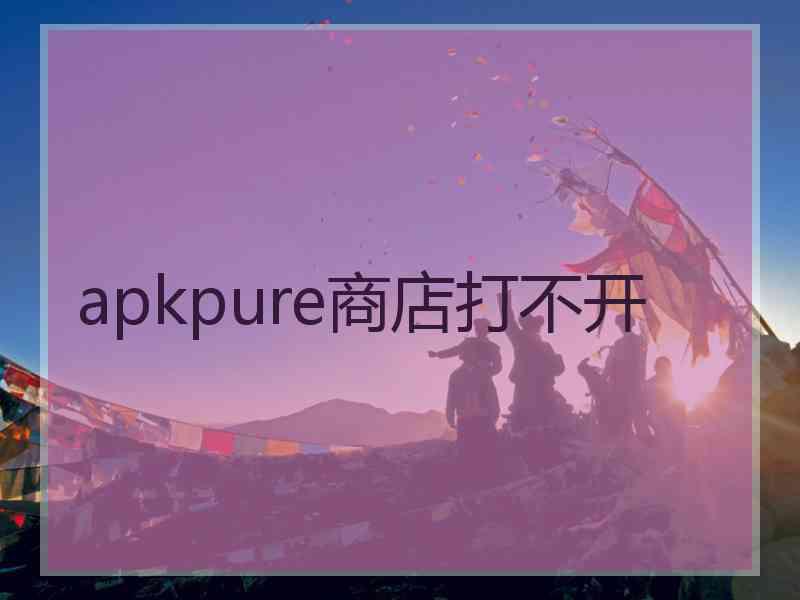 apkpure商店打不开