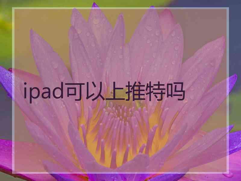 ipad可以上推特吗