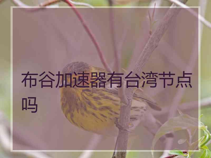 布谷加速器有台湾节点吗