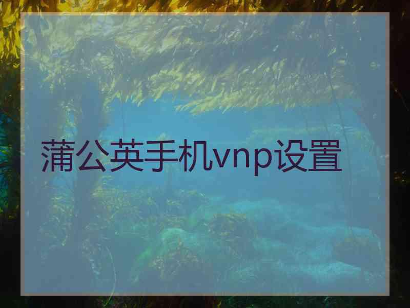 蒲公英手机vnp设置