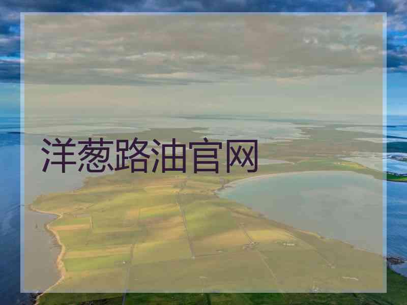 洋葱路油官网