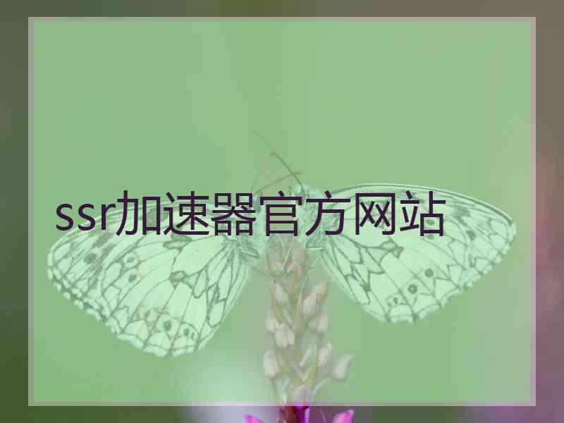 ssr加速器官方网站