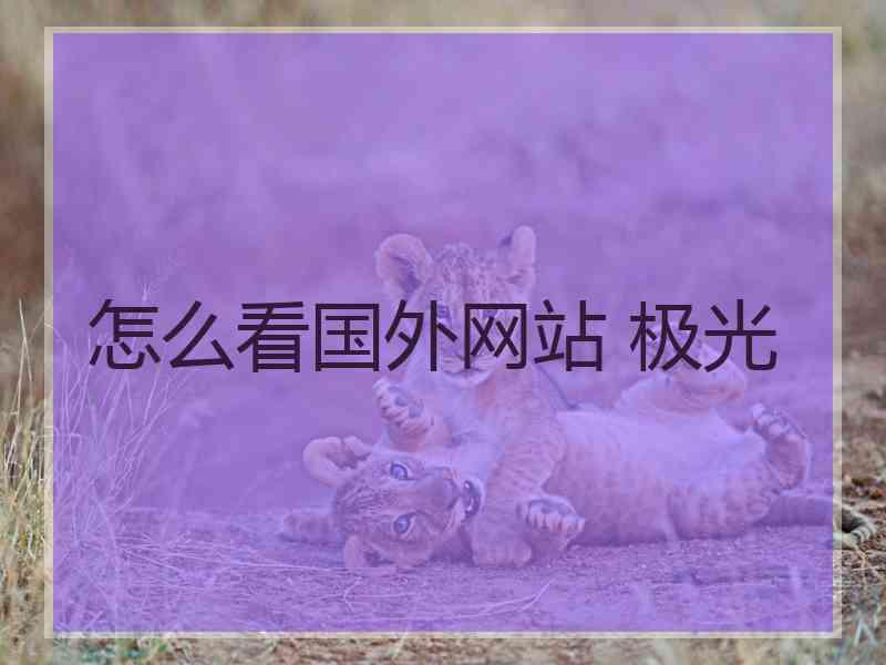 怎么看国外网站 极光