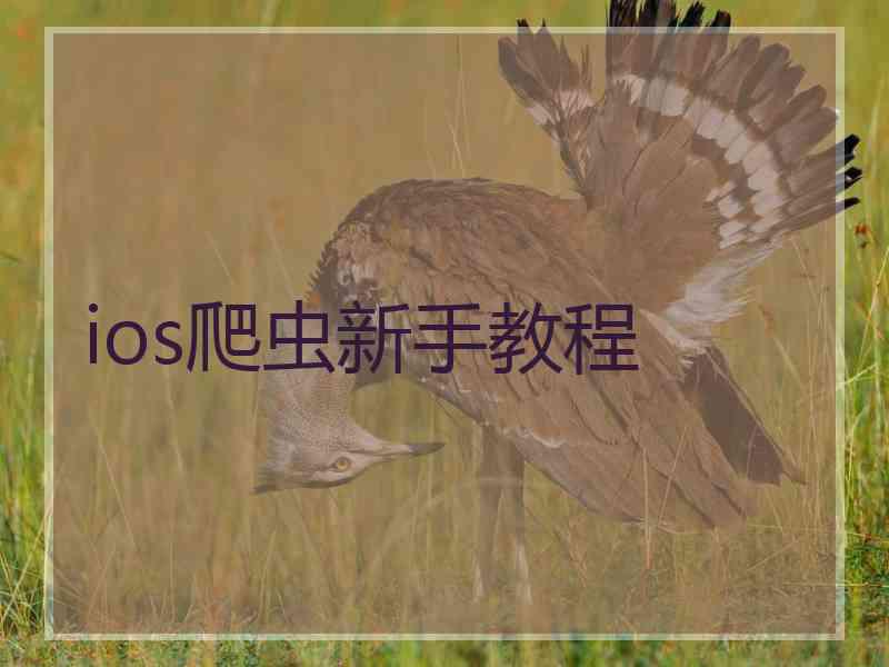 ios爬虫新手教程