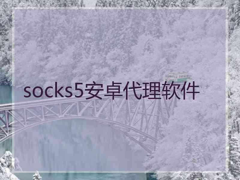socks5安卓代理软件