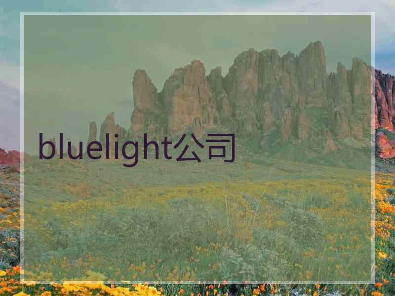 bluelight公司