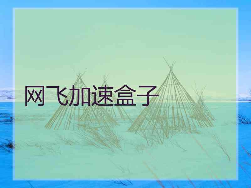 网飞加速盒子