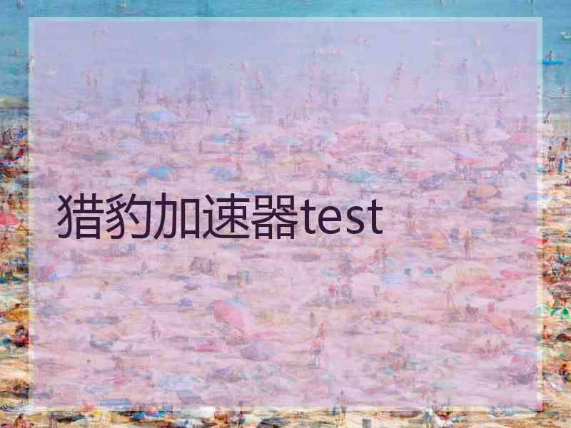 猎豹加速器test