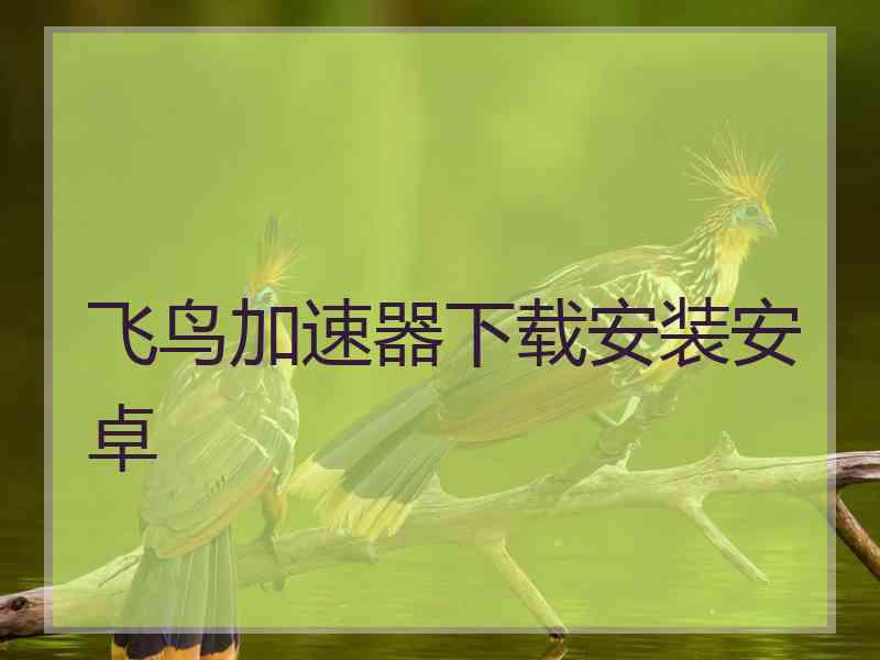 飞鸟加速器下载安装安卓
