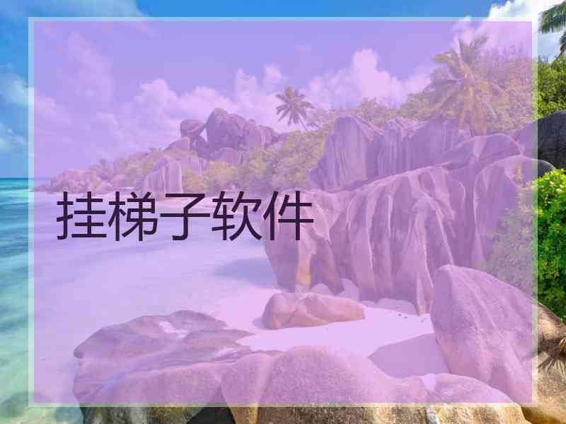 挂梯子软件