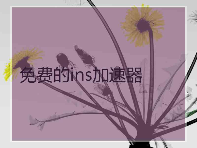 免费的ins加速器