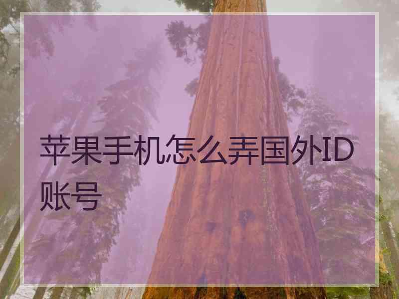 苹果手机怎么弄国外ID账号
