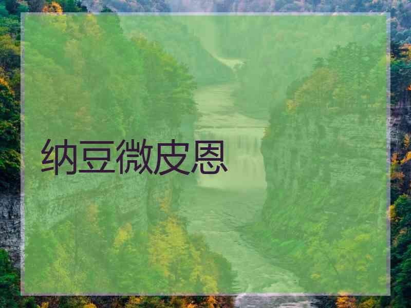 纳豆微皮恩