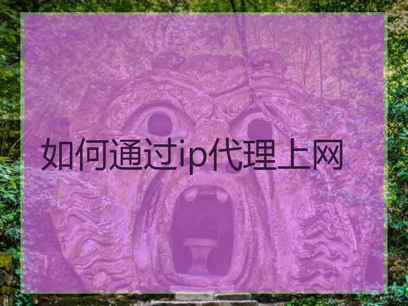 如何通过ip代理上网