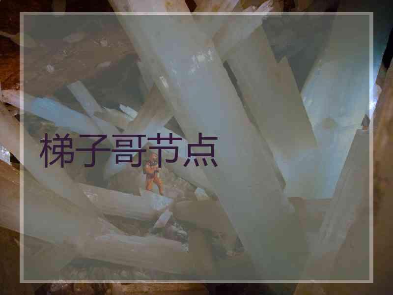 梯子哥节点