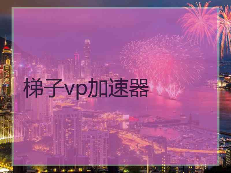 梯子vp加速器