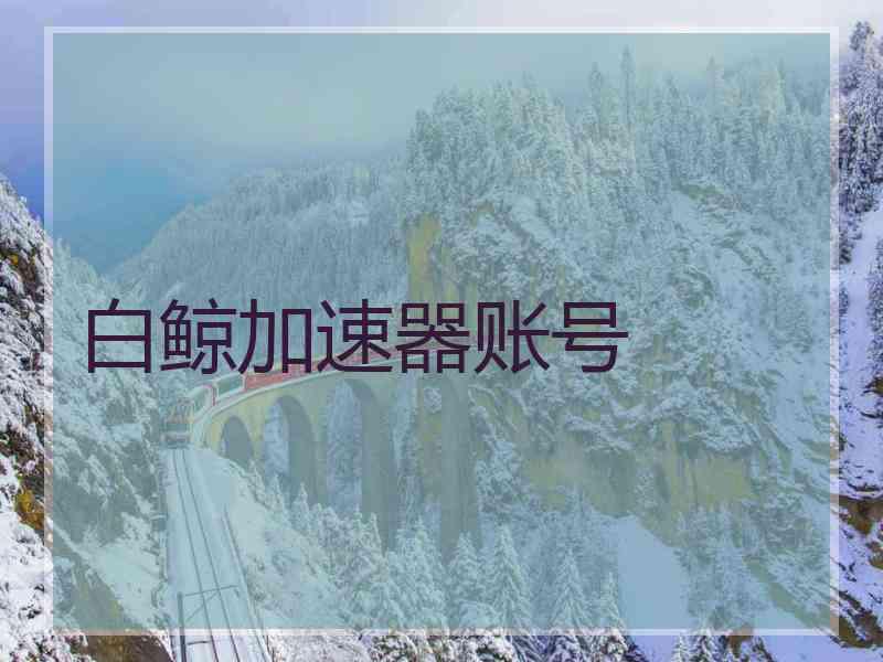 白鲸加速器账号