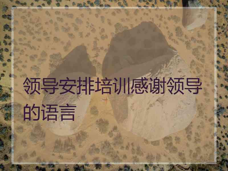 领导安排培训感谢领导的语言