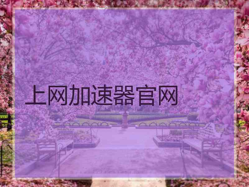 上网加速器官网
