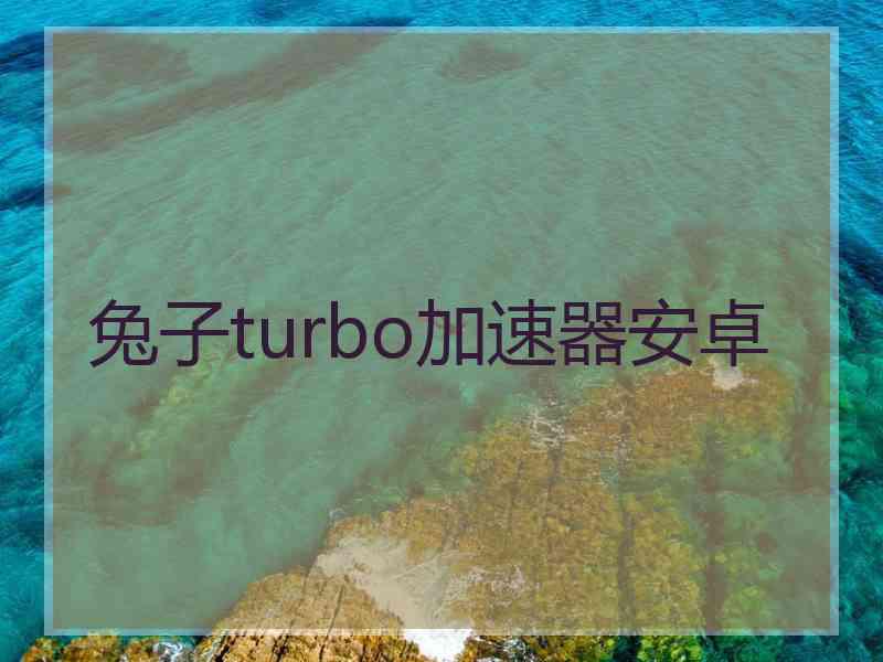 兔子turbo加速器安卓